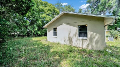 A home in MOUNT DORA