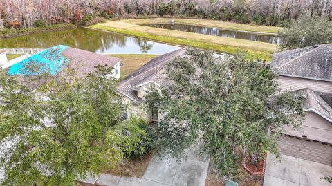 A home in TAMPA