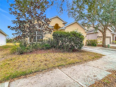 A home in TAMPA