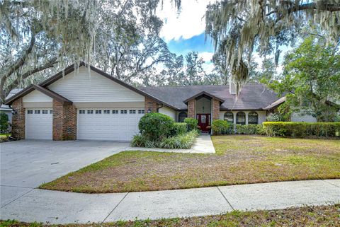 807 BELLE TIMBRE AVENUE BRANDON FL 33511