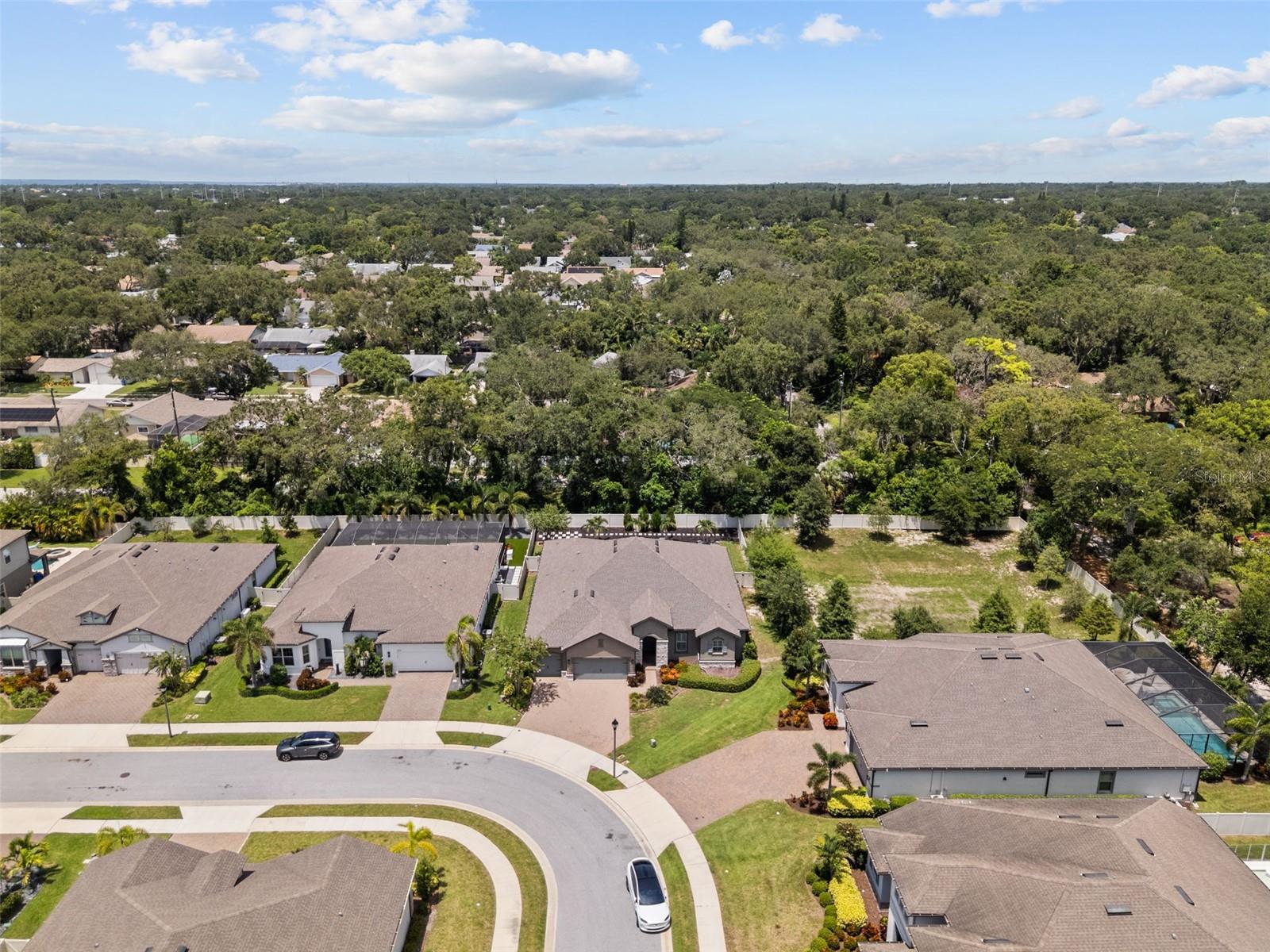 ENCLAVE AT PALM HARBOR - Residential