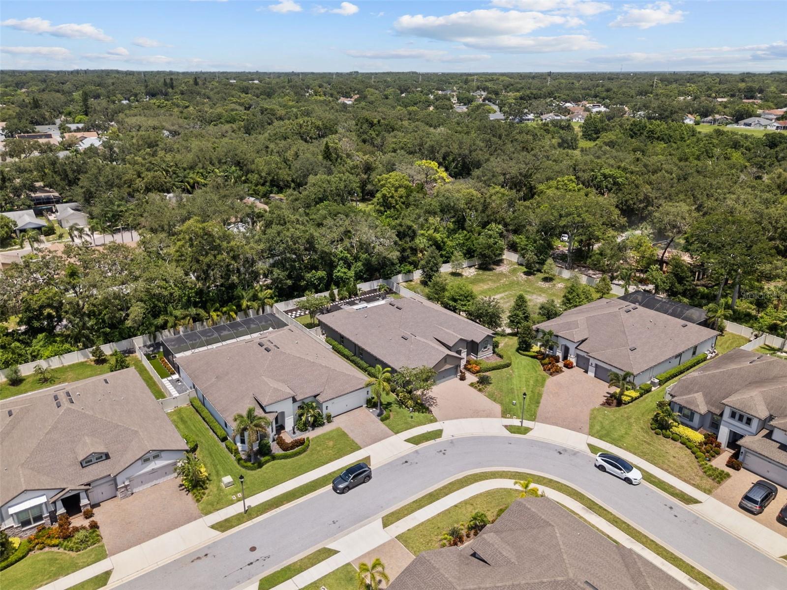 ENCLAVE AT PALM HARBOR - Residential