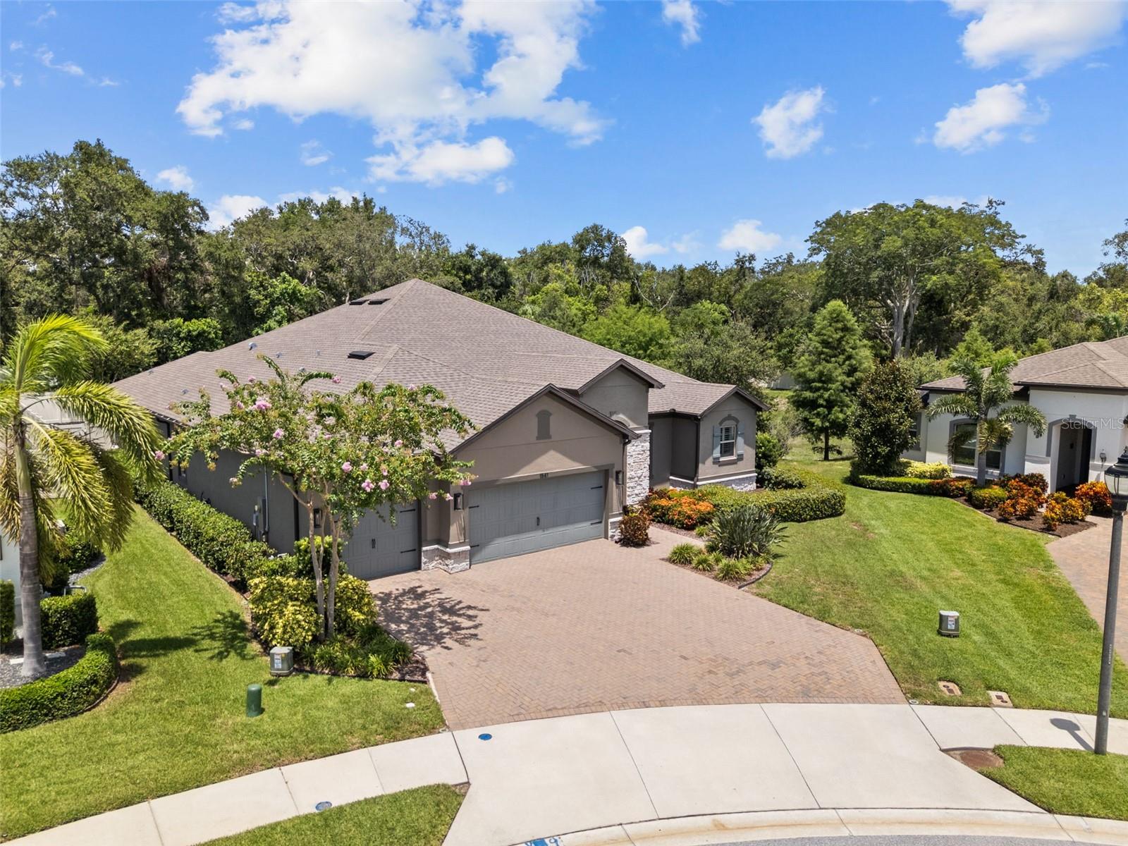 ENCLAVE AT PALM HARBOR - Residential