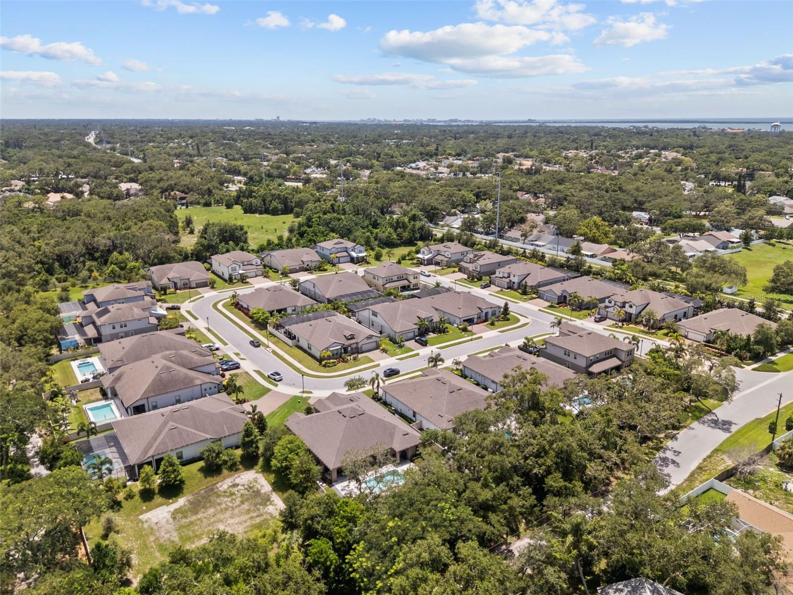 ENCLAVE AT PALM HARBOR - Residential