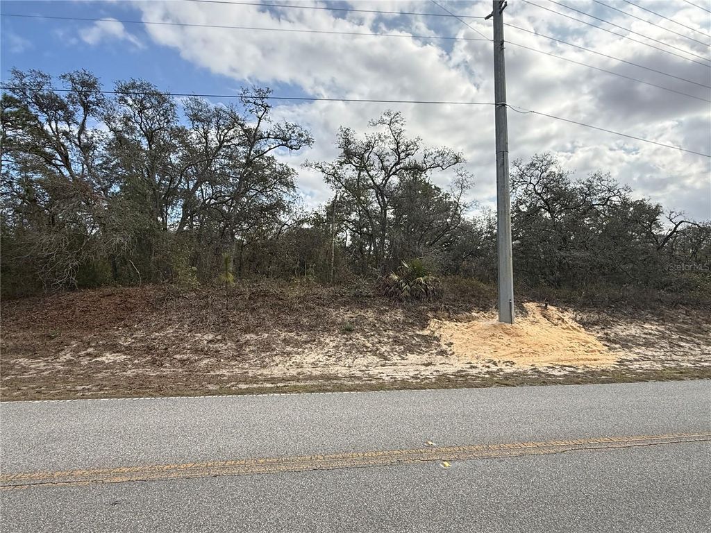 Photo of 00 Lelani Drive, Weeki Wachee, FL 34614 (MLS # W7882895)