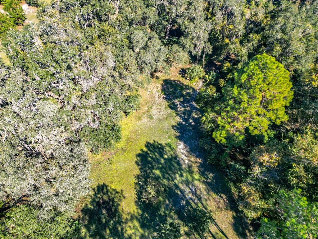 Photo of 16990 NE 30th Court, Citra, FL 32113 (MLS # O6360257)