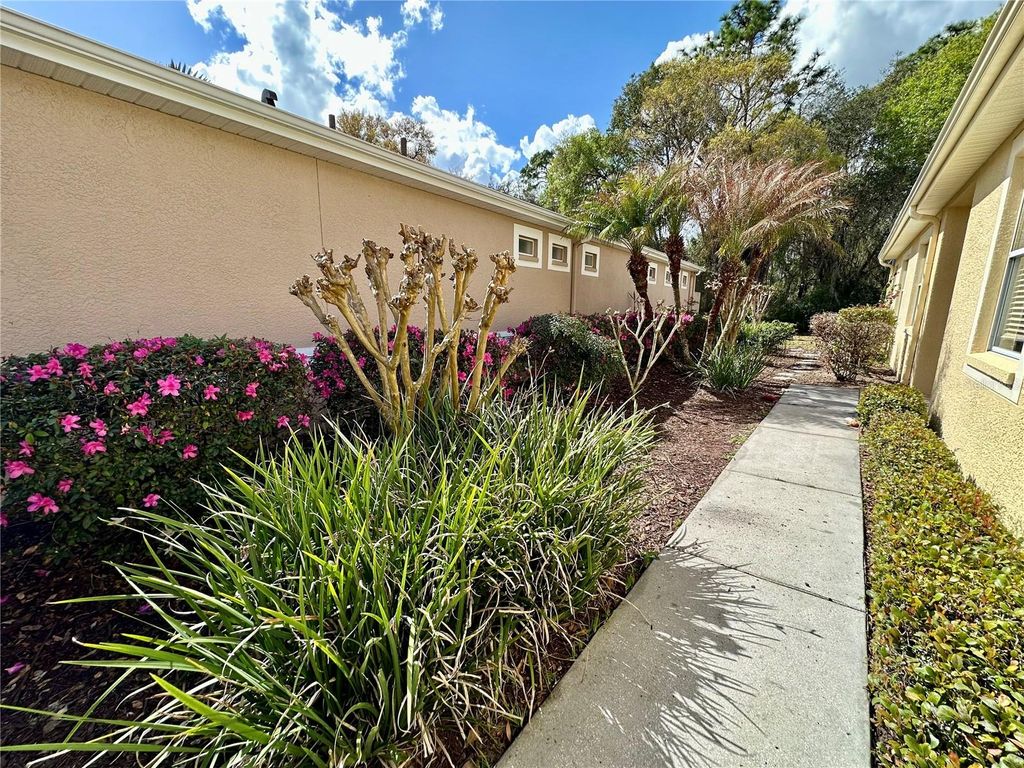 Photo of 8137 Ponkan Road, Land O Lakes, FL 34637 (MLS # TB8483656)