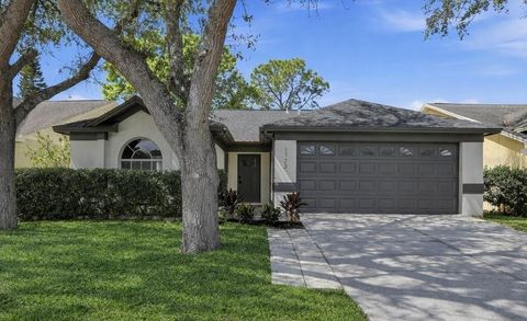 Photo of 1723 Elk Spring Drive, Brandon, FL 33511 (MLS # TB8476725)