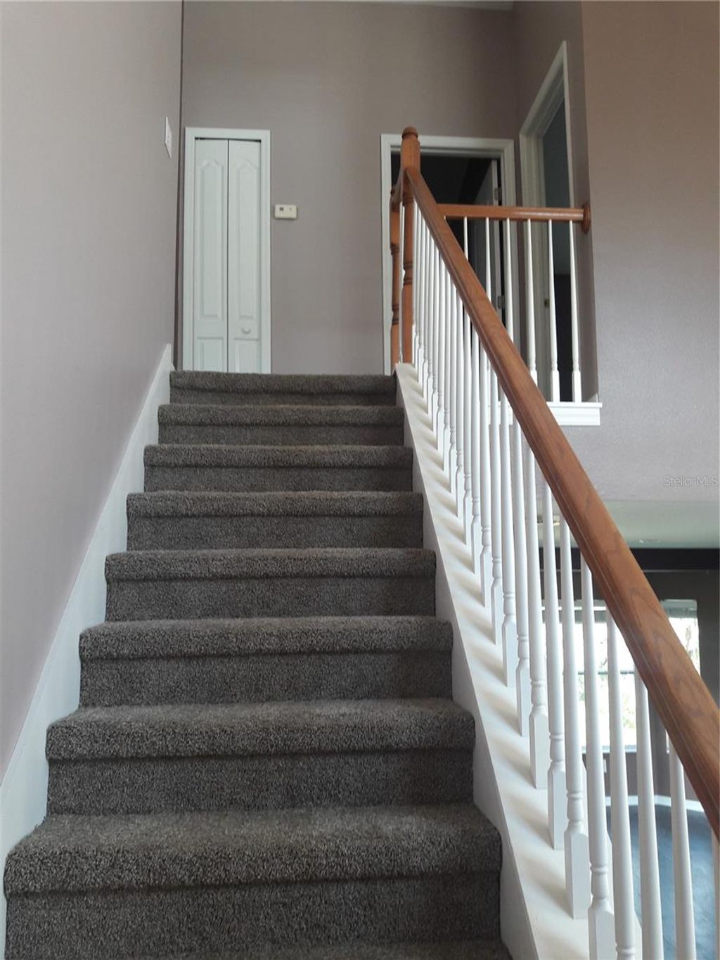 Photo of 18126 Birdwater Drive, Tampa, FL 33647 (MLS # TB8401180)