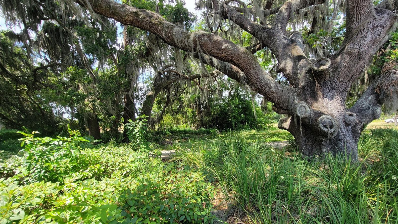 MCINTIRE ESTATES - Land