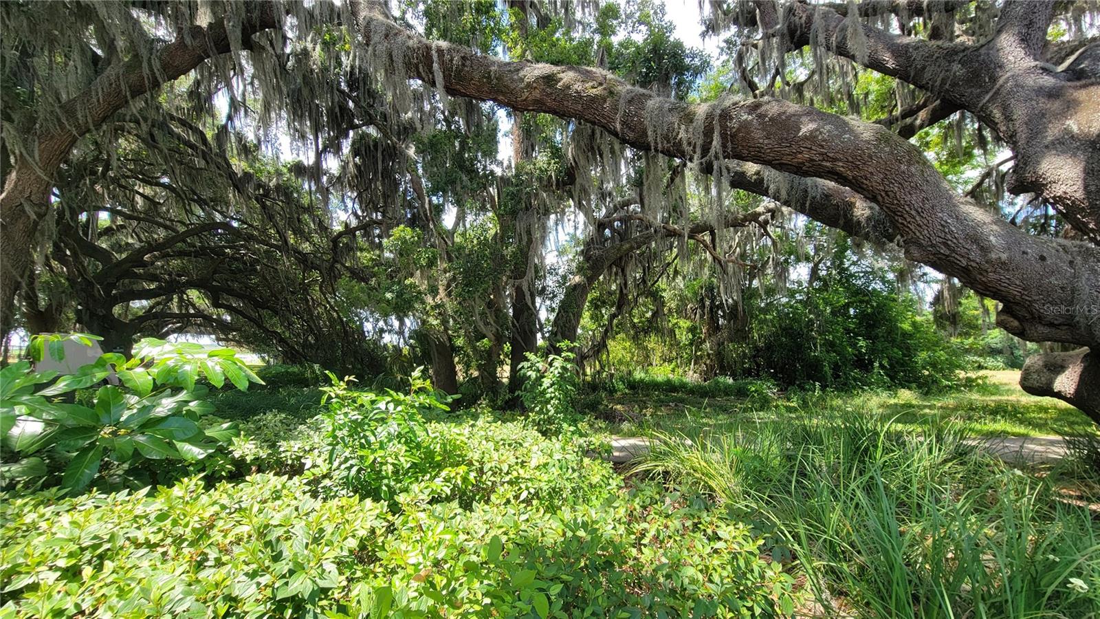 MCINTIRE ESTATES - Land