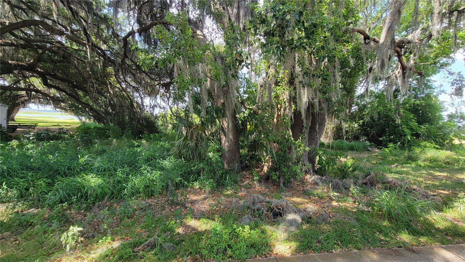 MCINTIRE ESTATES - Land