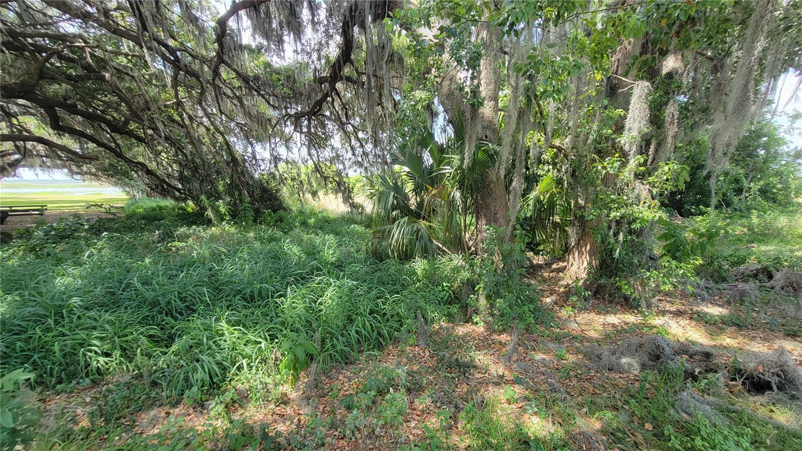 MCINTIRE ESTATES - Land