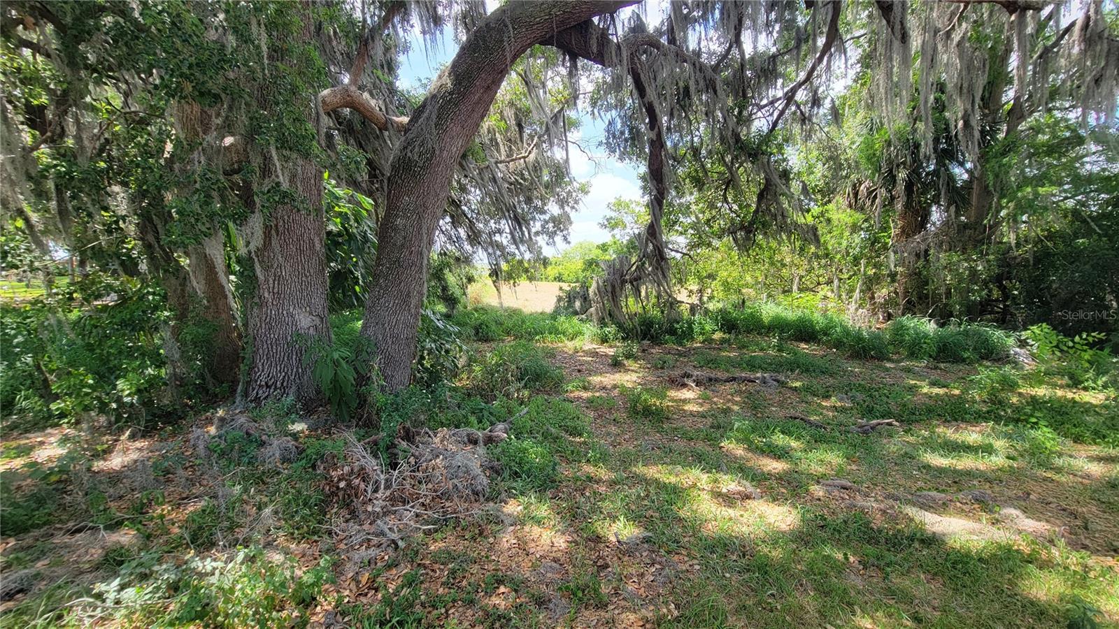 MCINTIRE ESTATES - Land