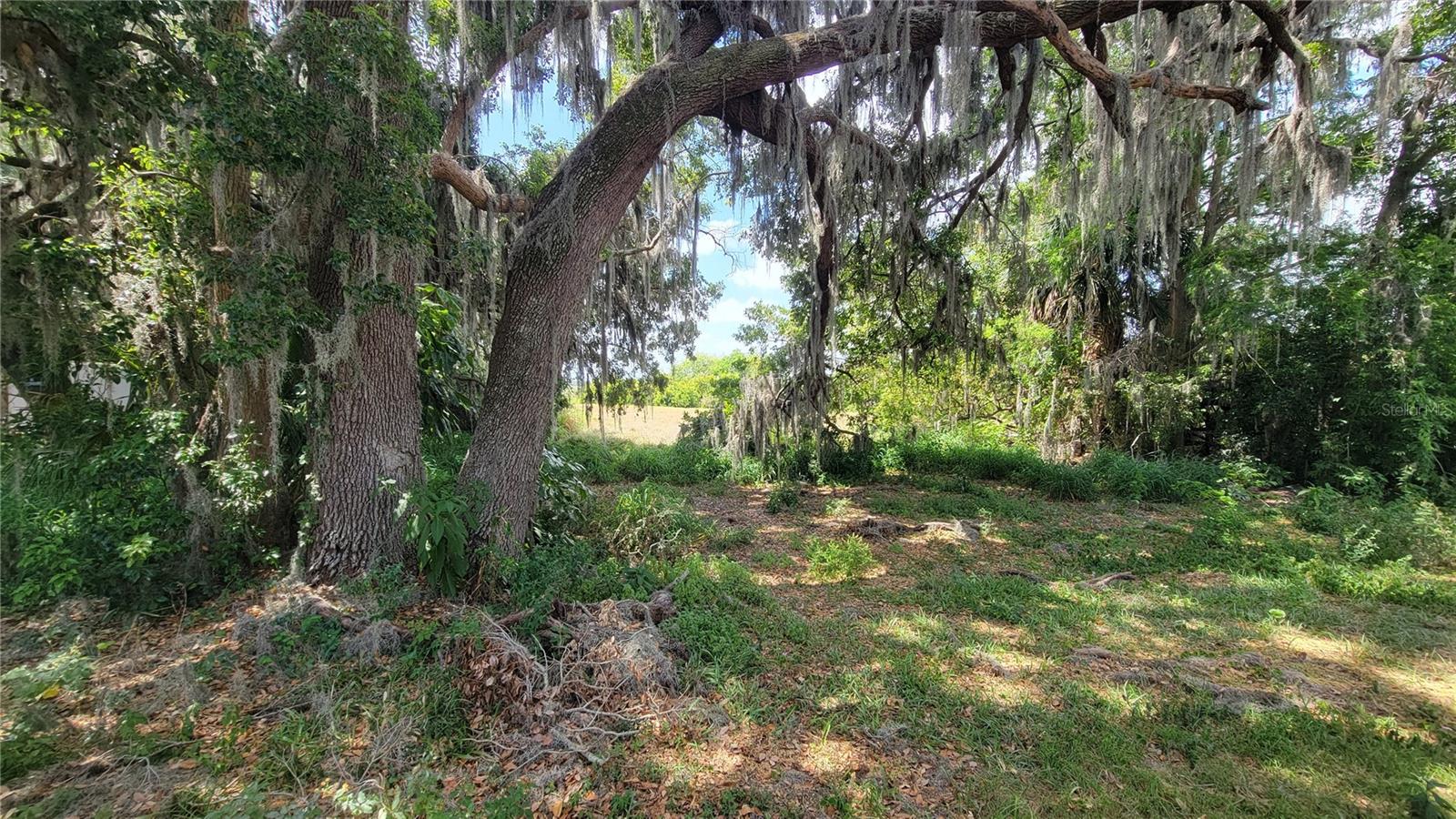 MCINTIRE ESTATES - Land