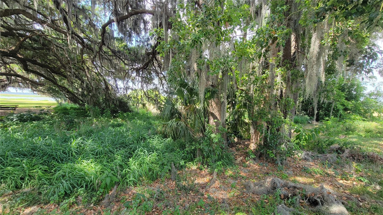 MCINTIRE ESTATES - Land