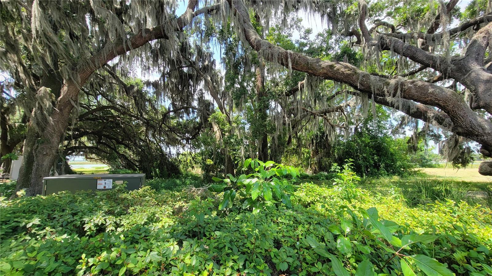 MCINTIRE ESTATES - Land