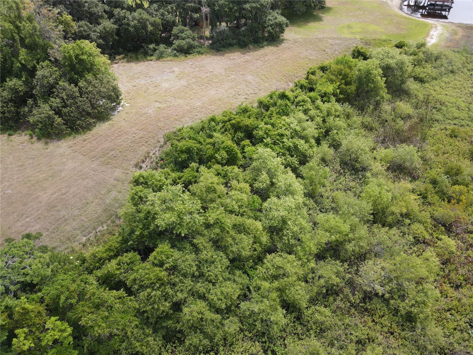 MCINTIRE ESTATES - Land