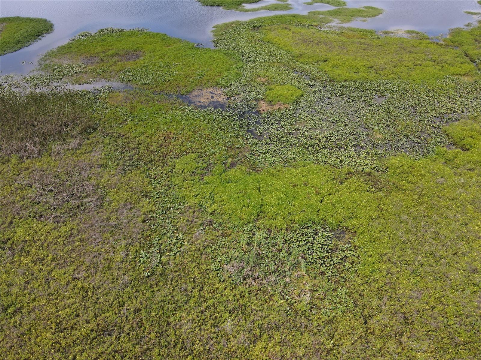 MCINTIRE ESTATES - Land