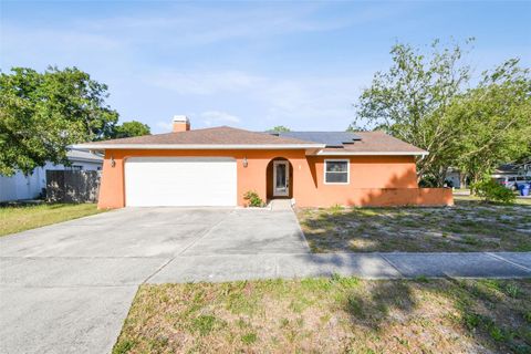 A home in PALM HARBOR