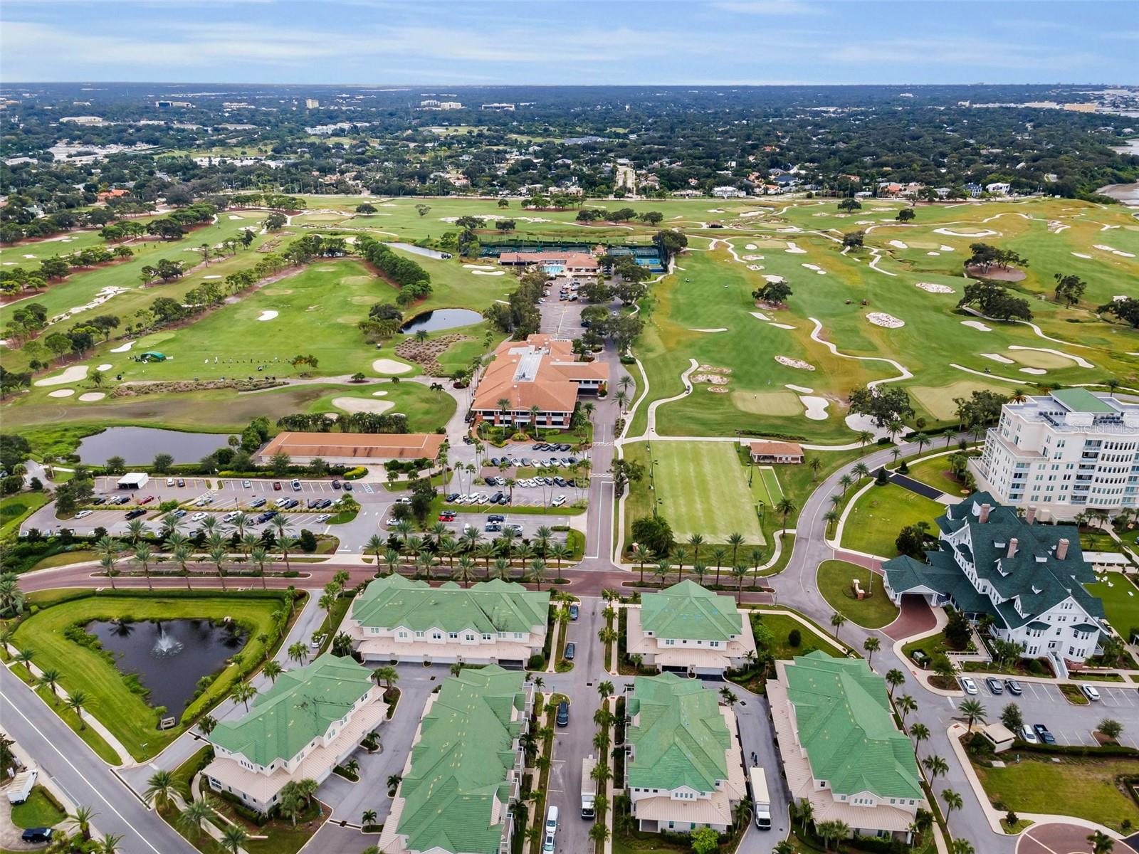 CARRIAGE HOMES AT BELLEVIEW PLACE CONDO - Residential