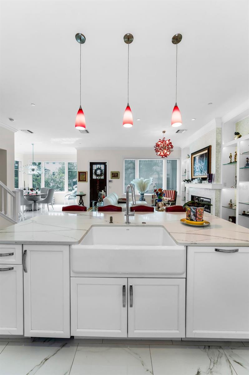 CARRIAGE HOMES AT BELLEVIEW PLACE CONDO - Residential