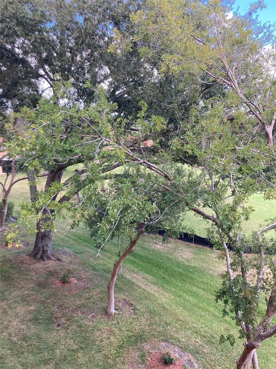 TERRACE PARK OF FIVE TOWNS - Residential