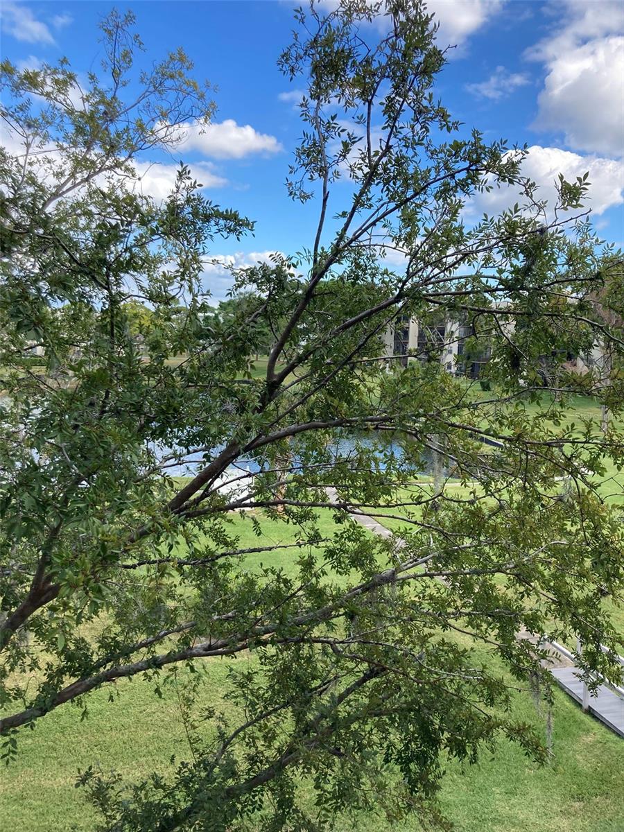 TERRACE PARK OF FIVE TOWNS - Residential