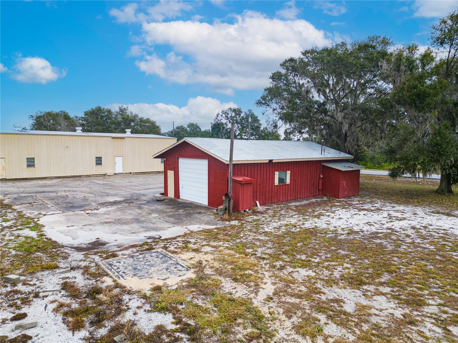 MAMMOTH GROVE - Land