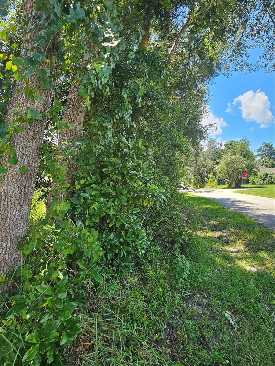 Photo of 18th Street, Orange City, FL 32763 (MLS # V4950980)