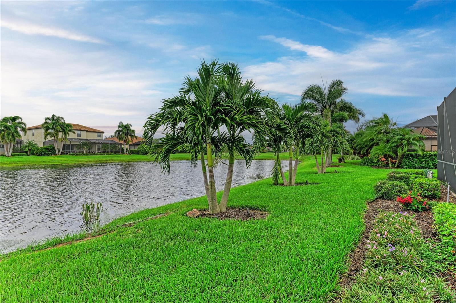 BRIDGEWATER PH I AT LAKEWOOD RANCH - Residential