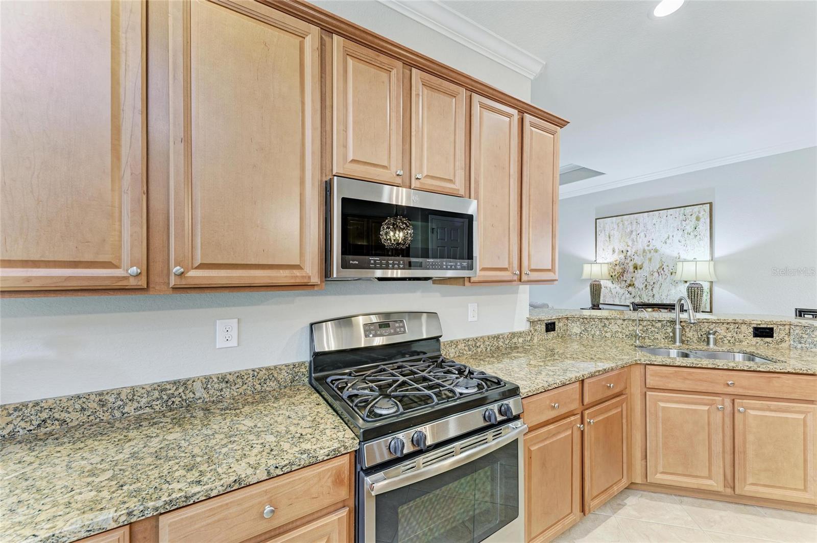 BRIDGEWATER PH I AT LAKEWOOD RANCH - Residential