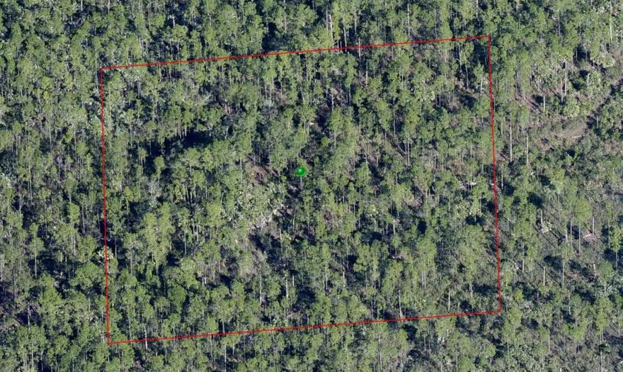 Come own 2.5 Acres of unimproved, undeveloped Central Florida. This spot is ideal for camping or simply enjoying a piece of all natural Florida. Lot is above the hundred year flood line. Perfect for the avid outdoorsman. This land is nested halfway between Orlando and Daytona and offers an easy commute to either. Don't delay. Please reach out to the listing agent with any questions you may have.