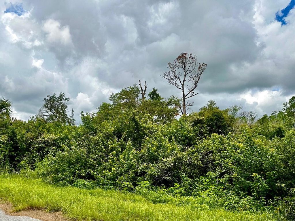 Photo of Raven Street, North Port, FL 34286 (MLS # D6131654)