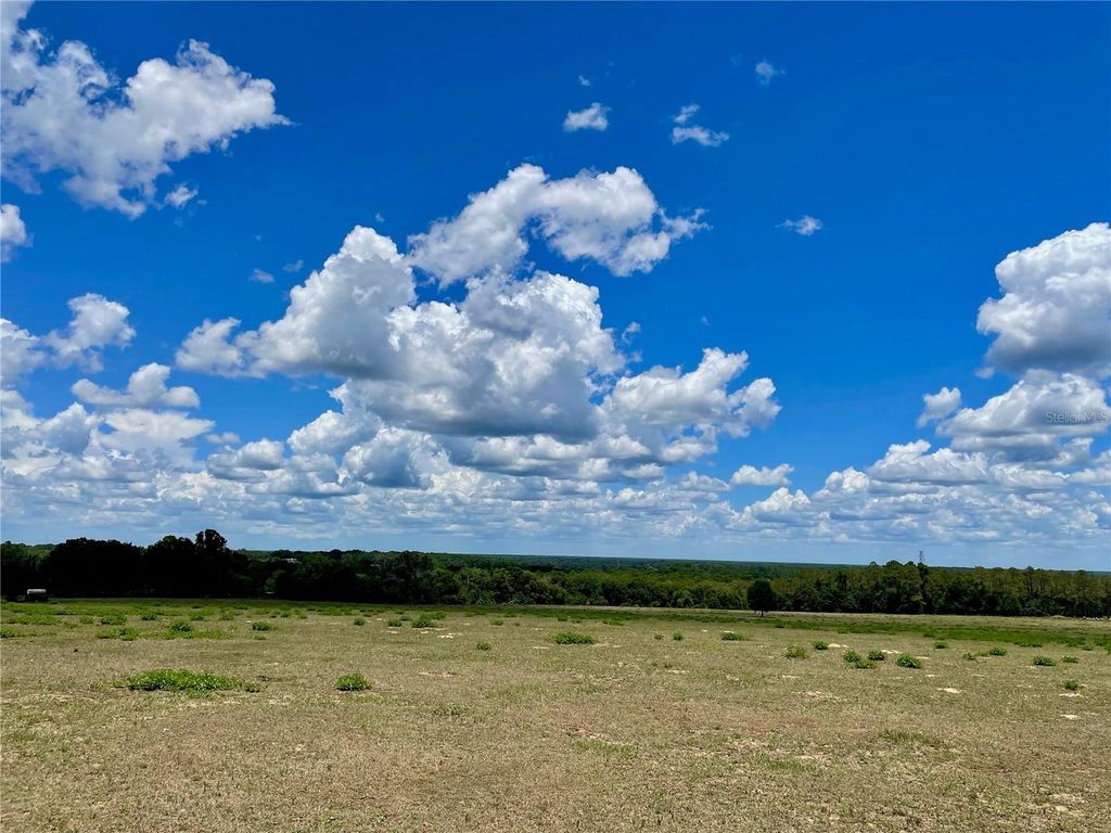 Photo of Parrish Grove Road, Dade City, FL 33523 (MLS # U8165473)