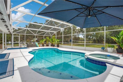 Tiny photo for 5150 Banana Point Drive, Okahumpka, FL 34762 (MLS # G5101678)