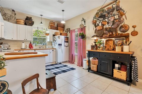 Tiny photo for 5150 Banana Point Drive, Okahumpka, FL 34762 (MLS # G5101678)