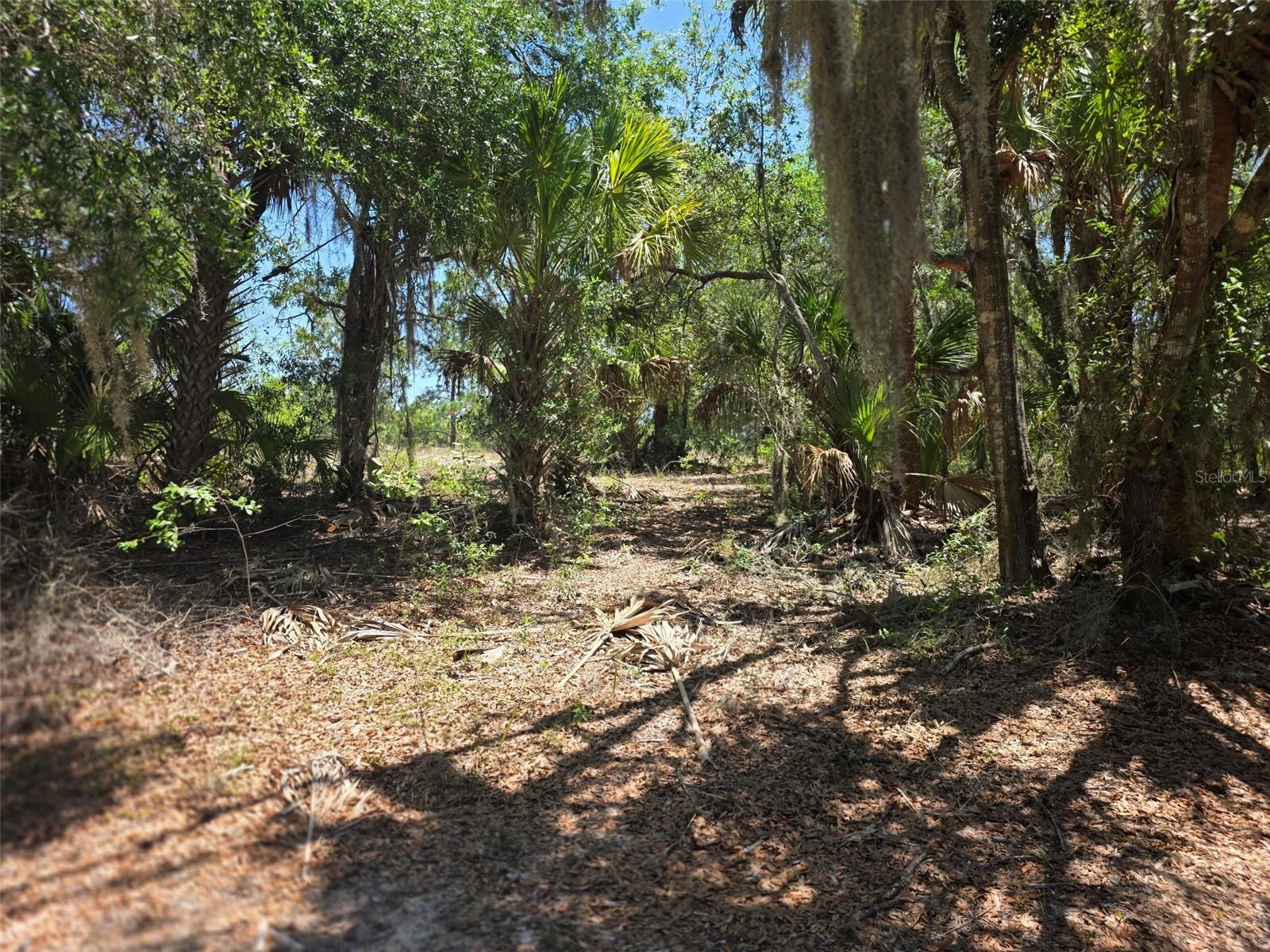 PINE OAK ESTATES REV - Land