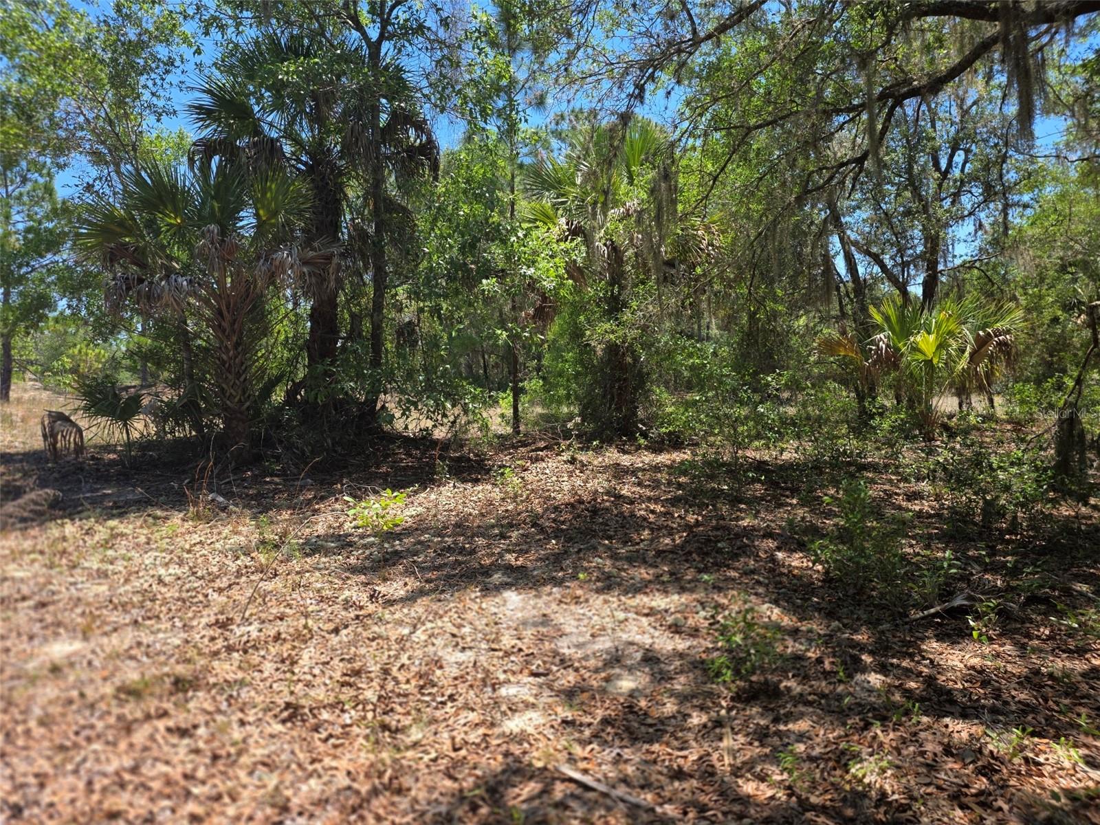 PINE OAK ESTATES REV - Land