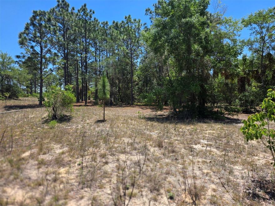 This expansive 1 acre lot in a homes only area offers the perfect canvas for your dream home or weekend getaway with NO HOA! Needs well and septic - not in flood zone, located on a county paved road. With the stunning Lake Rousseau just a short walk away, water enthusiasts can enjoy a multitude of activities at their fingertips. Boating, fishing, kayaking, and swimming are all within reach, ensuring endless summer fun. 10 mins in either direction to Downtown Crystal River or Downtown Dunnellon.