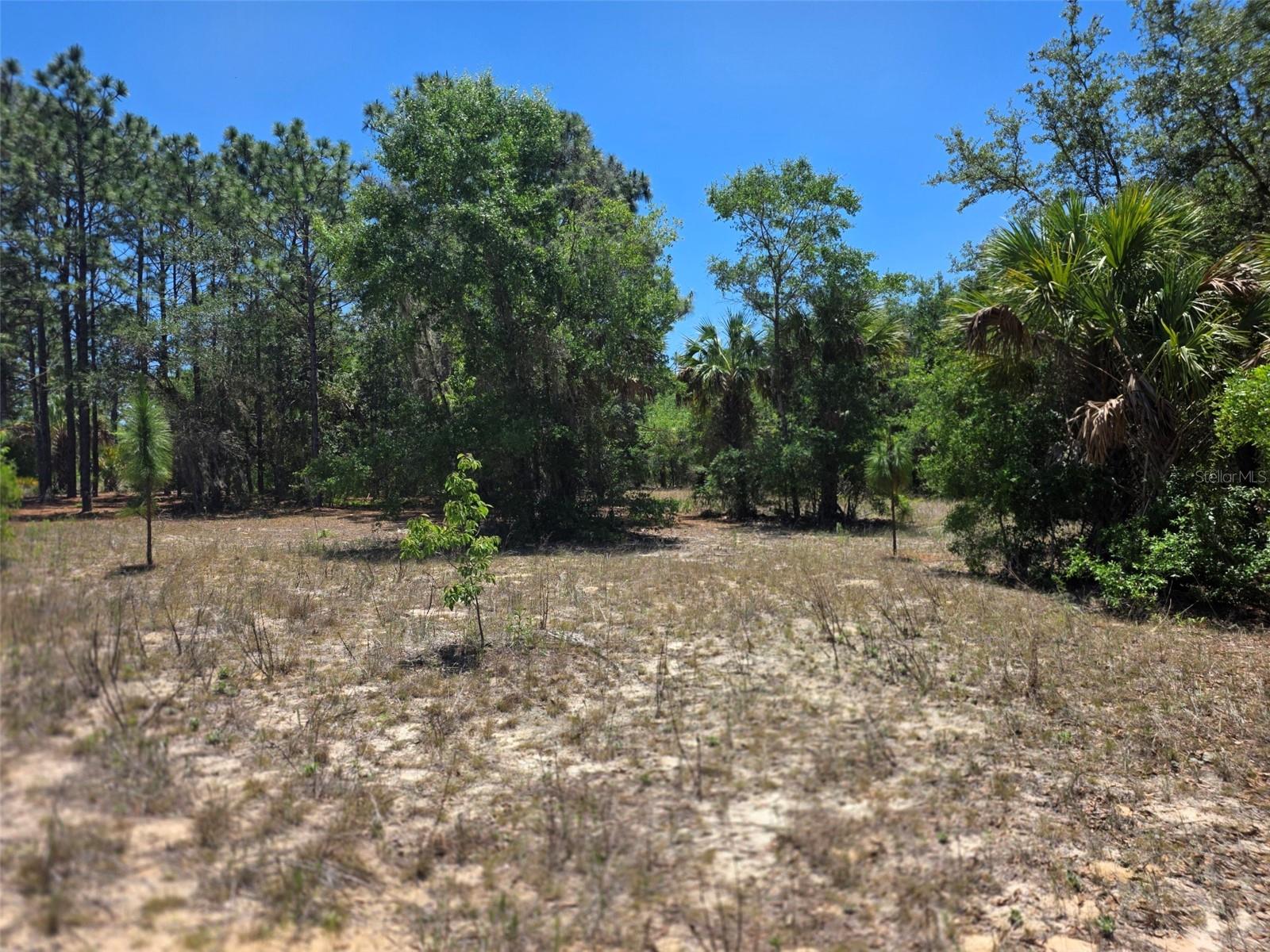 PINE OAK ESTATES REV - Land