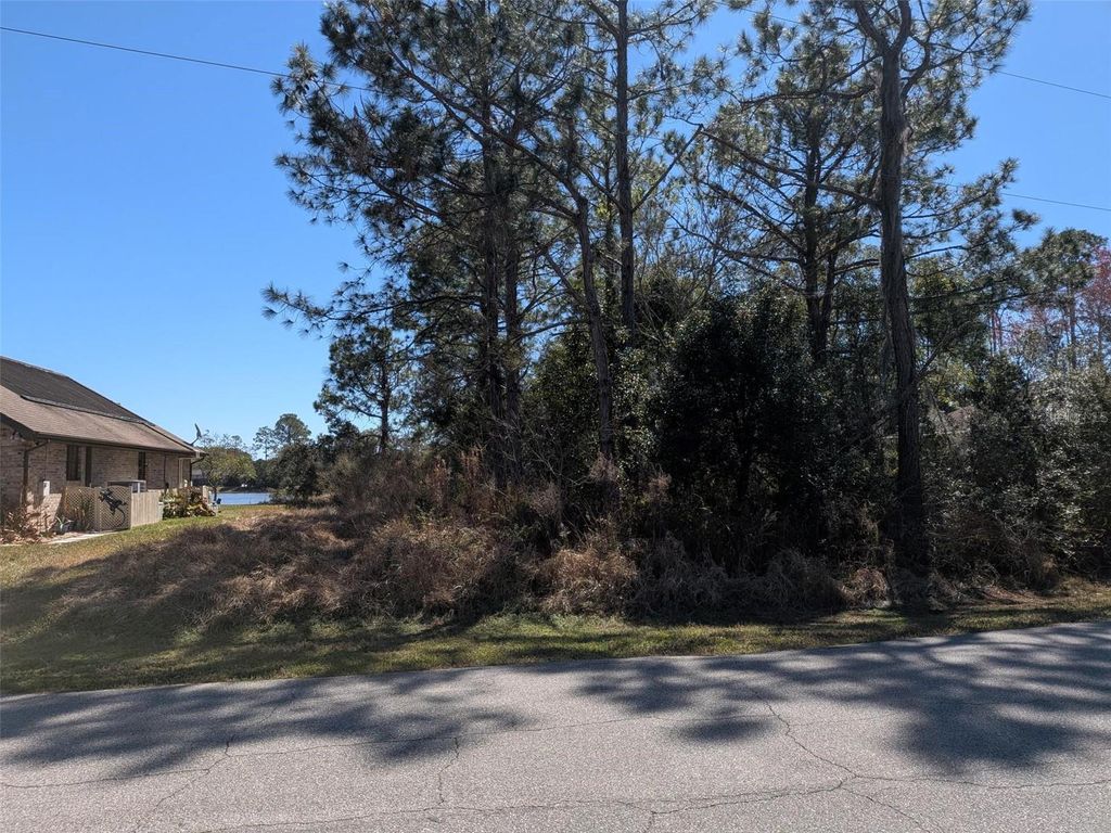 Photo of 26 Kashmir Trail, Palm Coast, FL 32164 (MLS # FC316468)