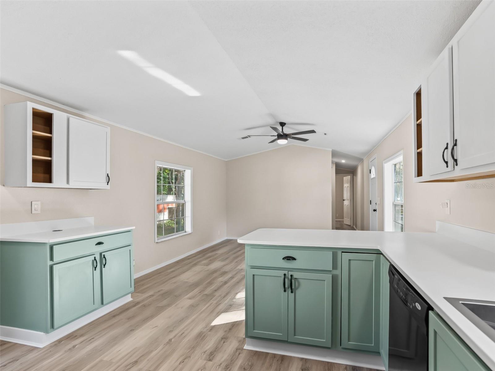 OLIVE PALM - Residential