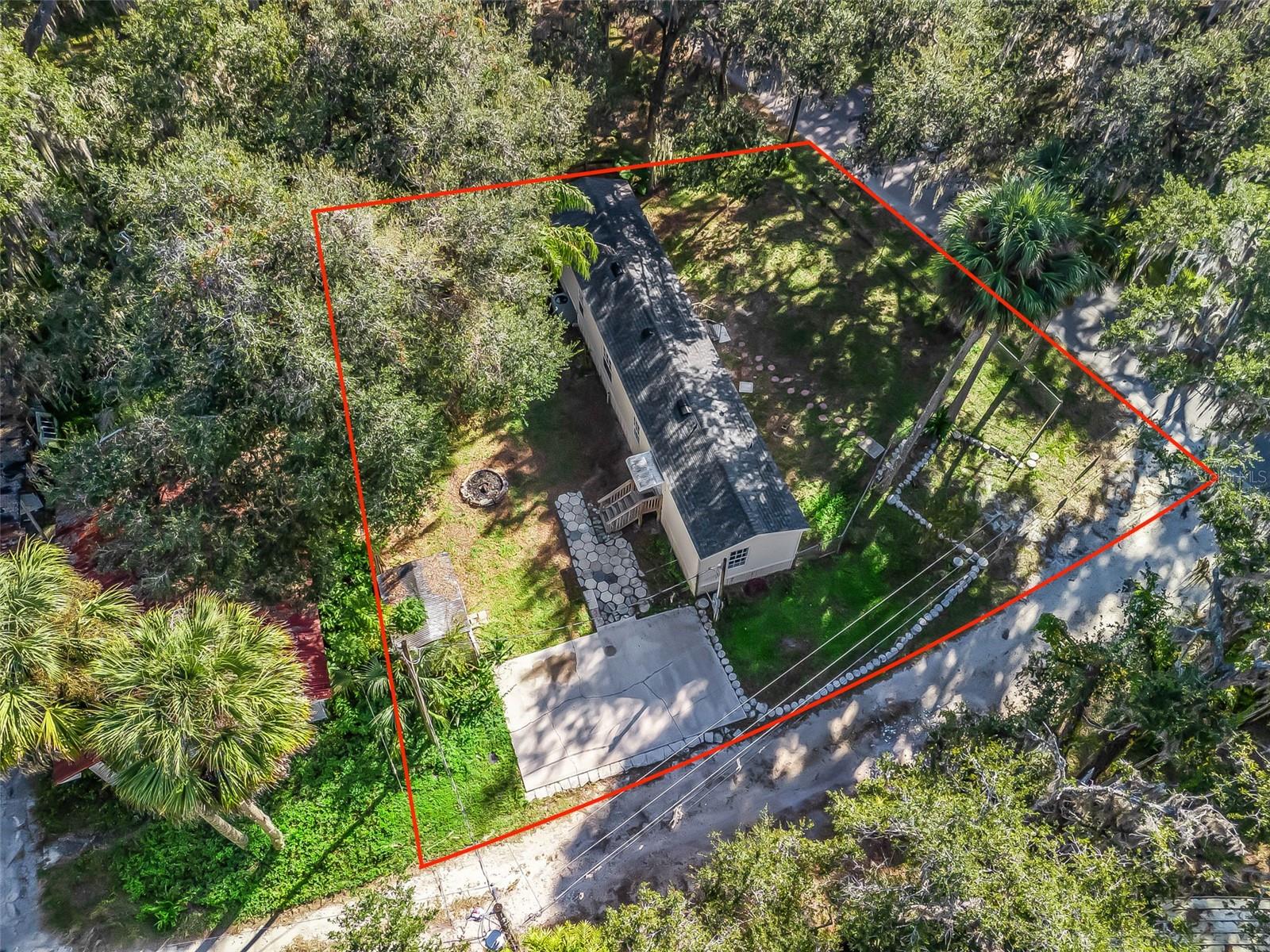 OLIVE PALM - Residential