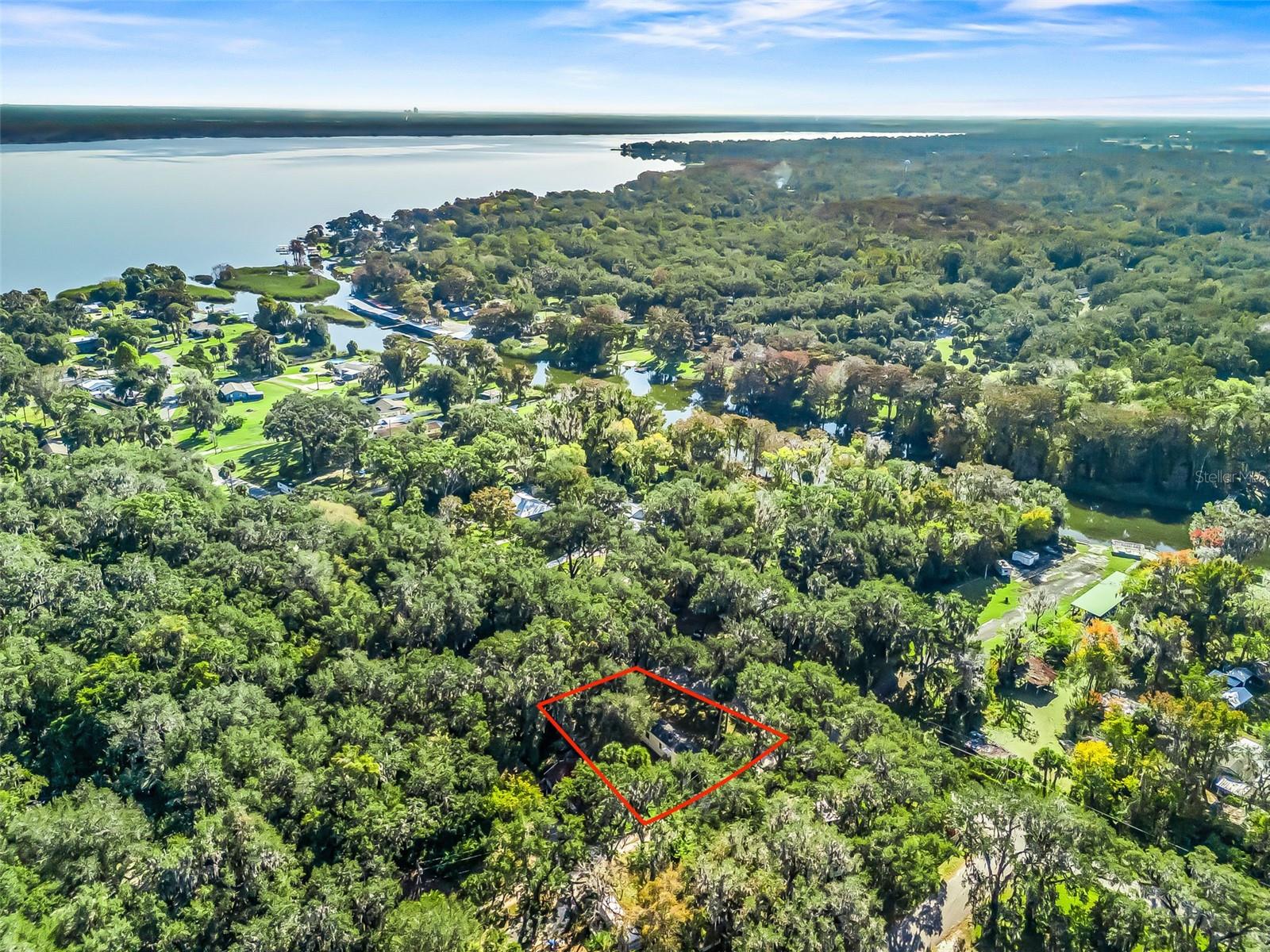 OLIVE PALM - Residential