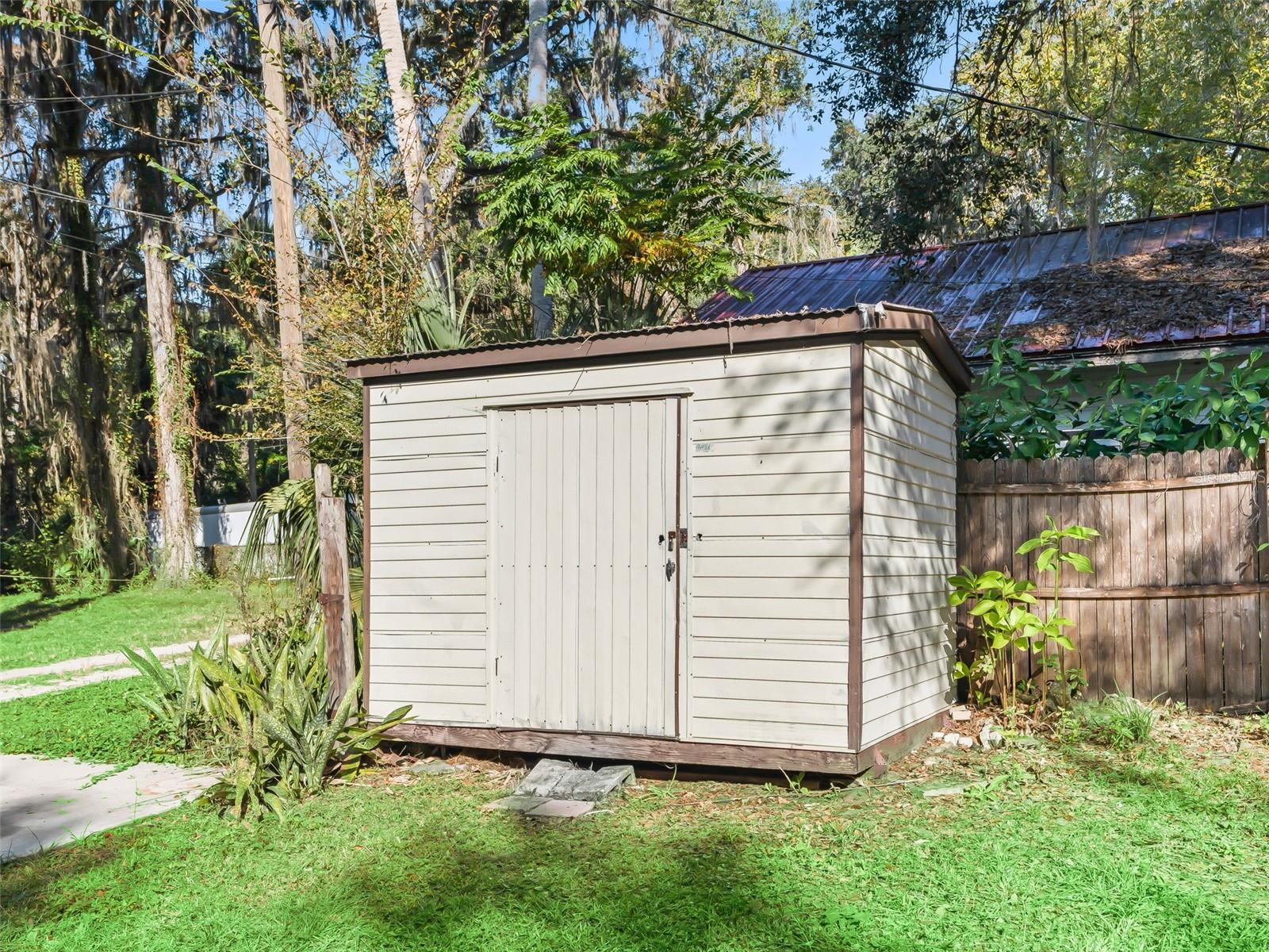 OLIVE PALM - Residential