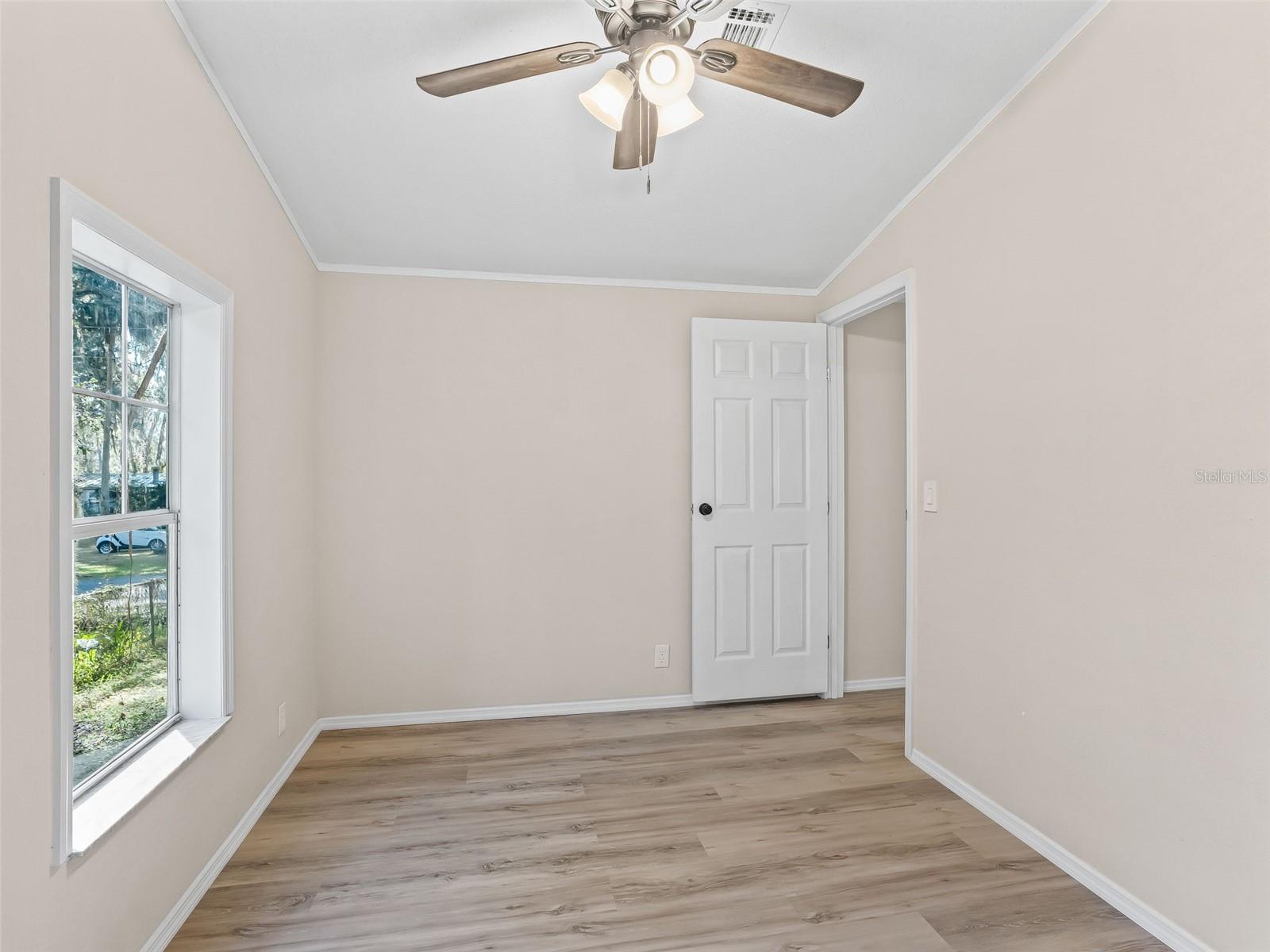 OLIVE PALM - Residential