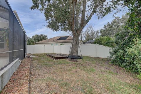 A home in RIVERVIEW