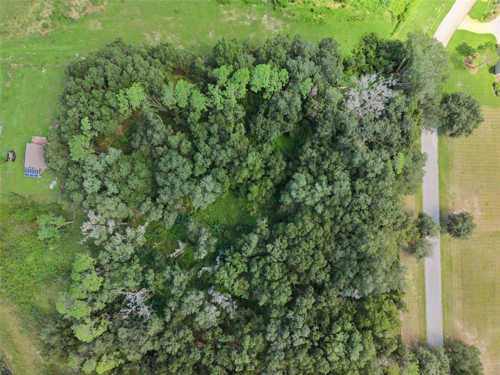 Photo of Grass Roots Road #Lot 1, Groveland, FL 34736 (MLS # O6440012)