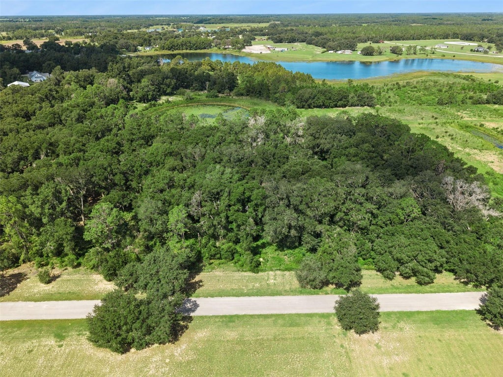 Photo of Grass Roots Road #Lot 1, Groveland, FL 34736 (MLS # O6440012)